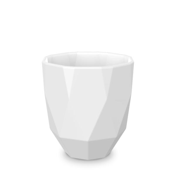 Form 199 – PolyLight