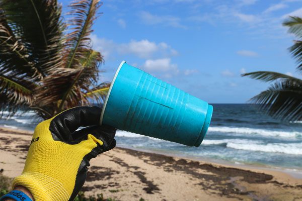 Einwegbecher aus Plastik verboten - denn sie enden oft in Meeren oder an Stränden